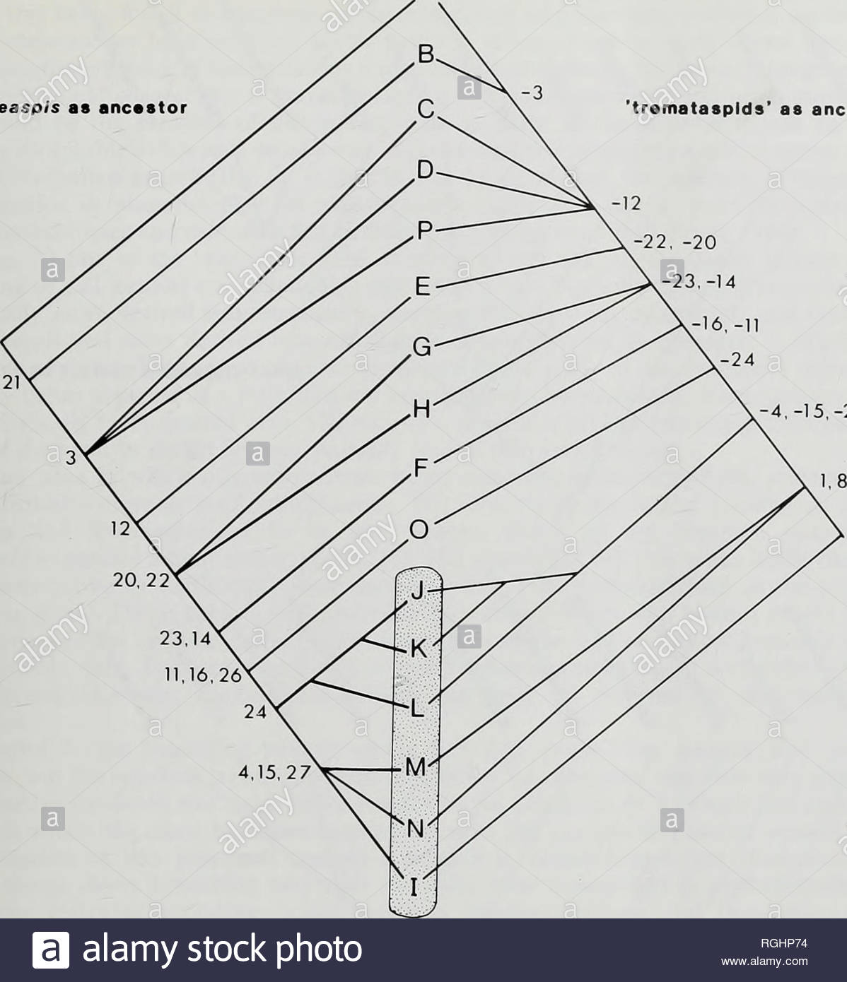 Consensus Tree Different Topography